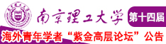 日操尻小说南京理工大学第十四届海外青年学者紫金论坛诚邀海内外英才！